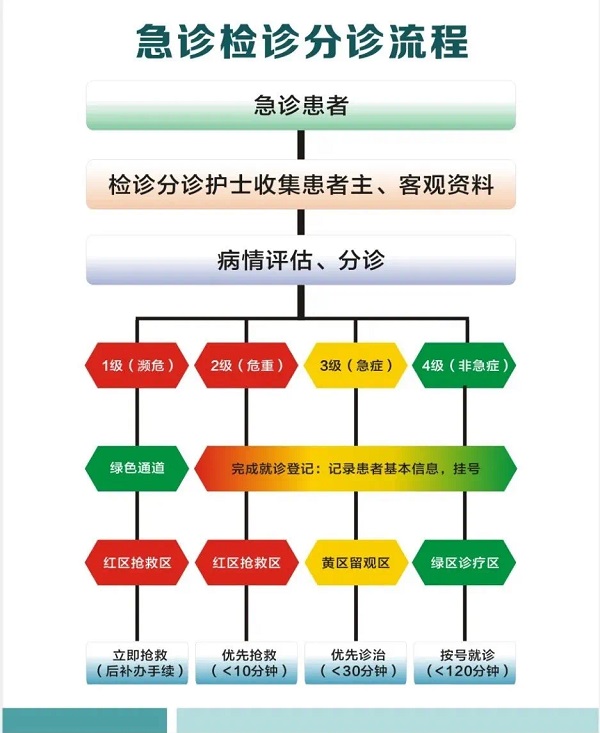 图AA1.jpg